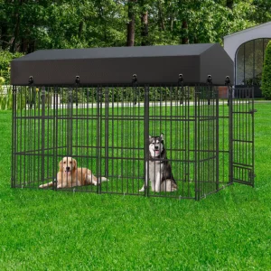 XS-L Outdoor Dog Kennel with Roof