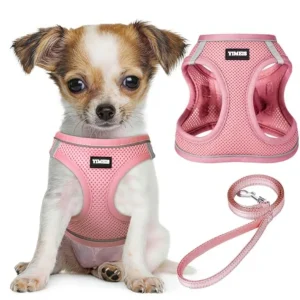 Dog Harness/Leash Set/Small-Large Dog