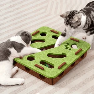 Interactive Cat Toy/Cat Puzzle