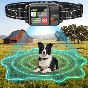 Outdoor GPS Fencing System Training Collar