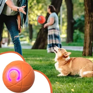 Interactive Dog Toys for Aggressive Chewers